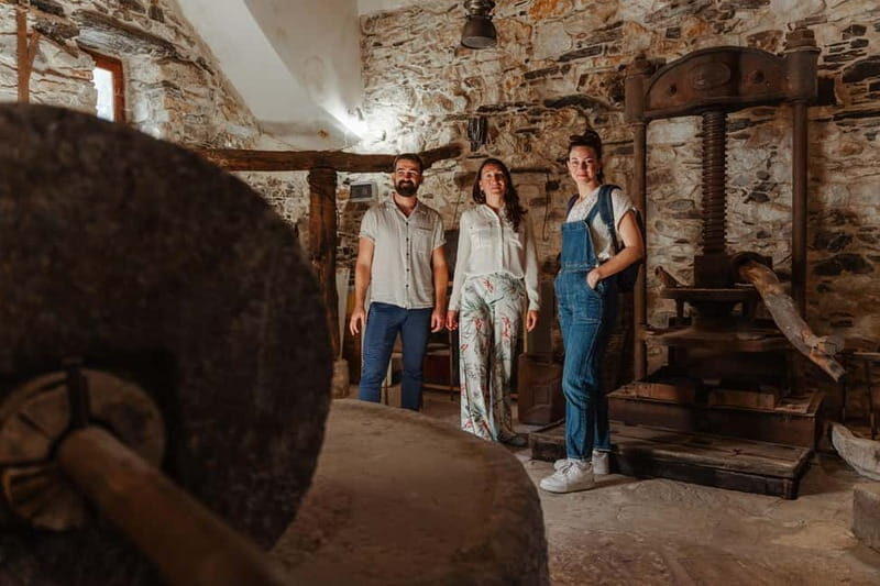 Koronos: Cook, Craft & Explore a Traditional Naxian Village - Is This Tour Right For You?