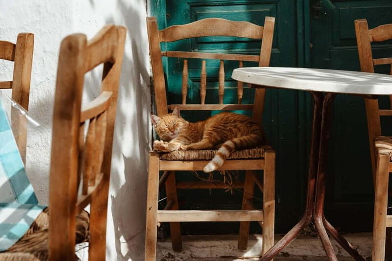 Koronos: Cook, Craft & Explore a Traditional Naxian Village - FAQs