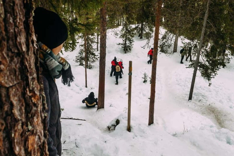 Korouoma Canyon: Frozen Waterfalls Hike & BBQ Experience - Practicalities & Value