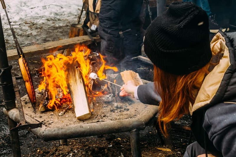 Korouoma Canyon: Frozen Waterfalls Hike & BBQ Experience - Who Would Love This Tour?