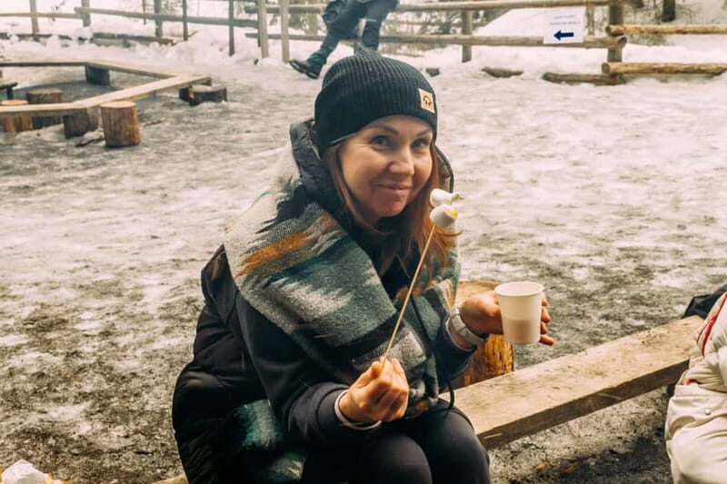 Korouoma Canyon: Frozen Waterfalls Hike & BBQ Experience - The Sum Up