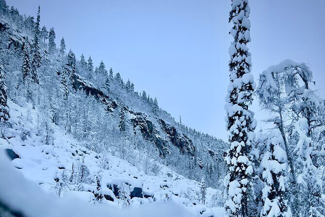 Korouoma Frozen Waterfalls Hiking Tour - An In-Depth Look at the Korouoma Frozen Waterfalls Hiking Tour