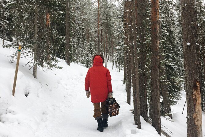 Korouoma national park and frozen waterfalls hiking tour - FAQ