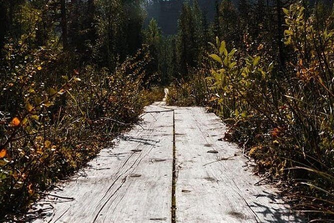 Korouoma National Park & Frozen Waterfalls Adventure - The Experience’s Highlights