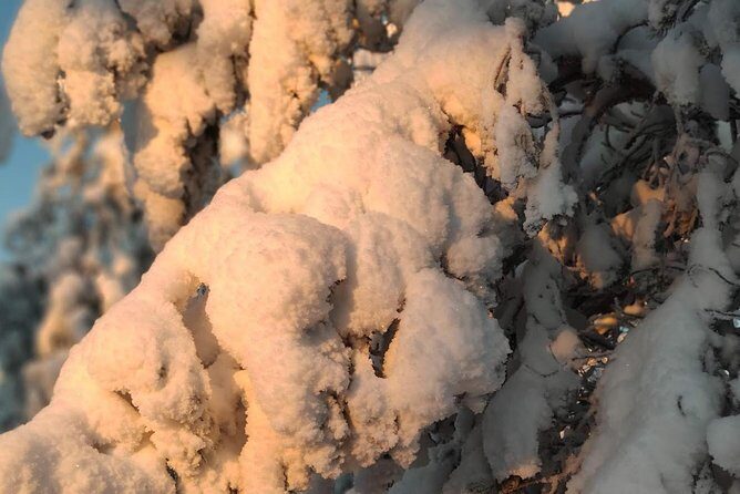 Korouoma National Park & Frozen Waterfalls Adventure - The Sum Up