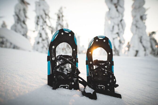 Korouoma National Park & Frozen Waterfalls - Discovering Korouoma: The Heart of Finnish Wilderness