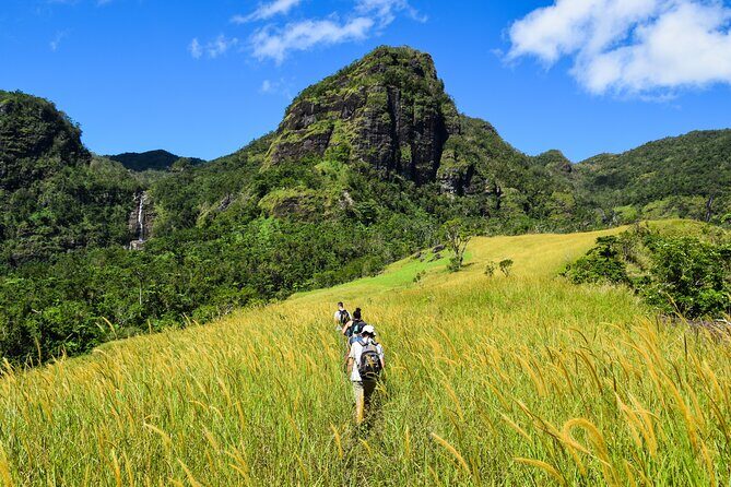 Koroyanitu National Heritage Park Fiji - Hike - Waterfall - Discovering Koroyanitu National Heritage Park