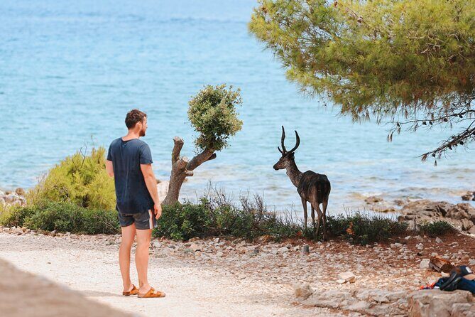 Korula & Lumbarda Islands Boat Tour with Snorkeling & Shipwreck - Who Is This Tour Best For?