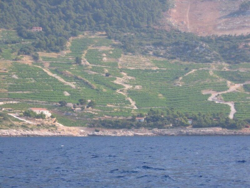 Korula & Ston Full-Day Private Tour from Dubrovnik - Who Should Consider This Tour?