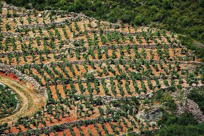 Korula & Ston: Island Charms, Peljeac Delights & Wine Tasting - FAQ