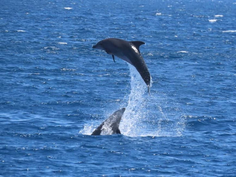 Kos: 3-Island Cruise with Lunch and Hotel Transfer - The Value and Practicalities