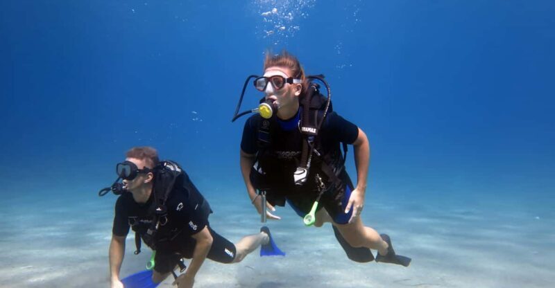 Kos: Beginner Scuba Diving from the Beach with Pickup - Final Thoughts: Is It Worth It?