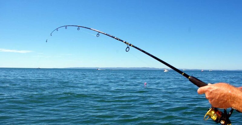 Kos: Fishing Trip Experience with a Greek Fisherman's Family - A Full Breakdown of the Experience