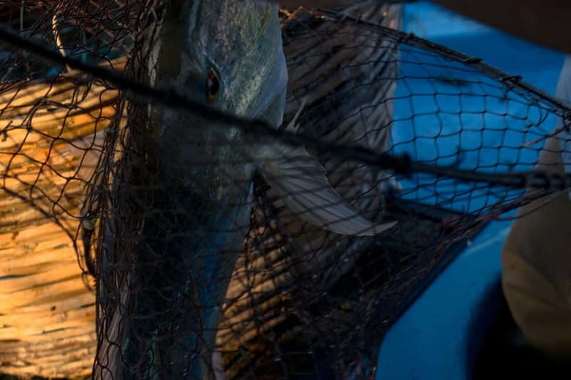 Kos, Greece: Fishing Trip Experience with Captain Tasos - FAQs