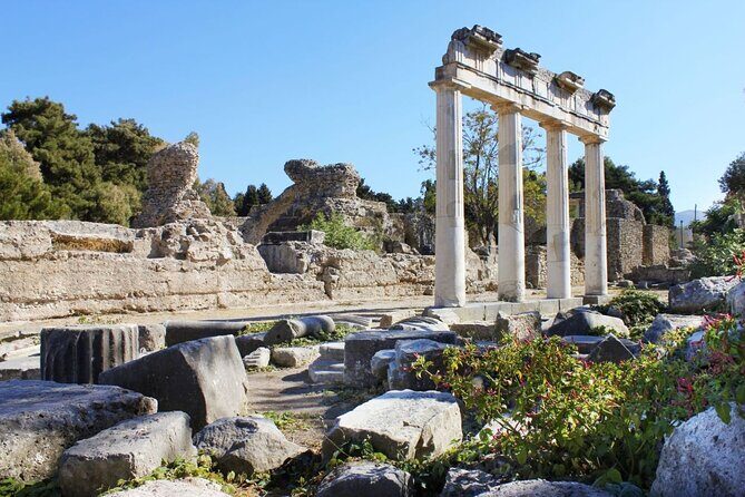 Kos Highlights Sightseeing Tour - What Works Well and What to Consider