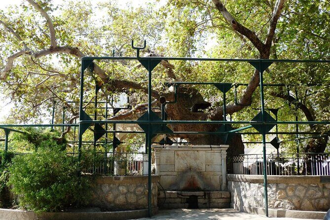 Kos Highlights Sightseeing Tour - Final Thoughts: Who Should Book This Tour?