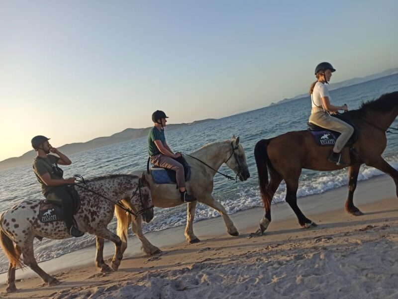 Kos: Horse Riding Experience on the Beach with Instructor - Final Thoughts: Who Will Love This?