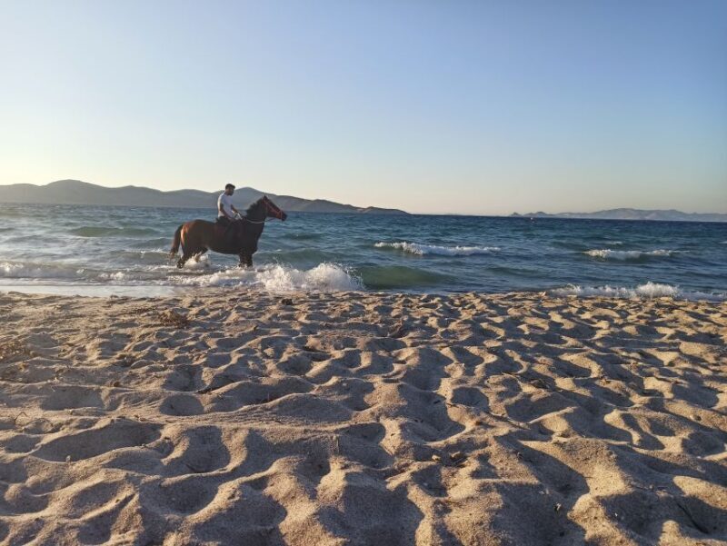 Kos: Horse Riding Experience on the Beach with Instructor - Final Word