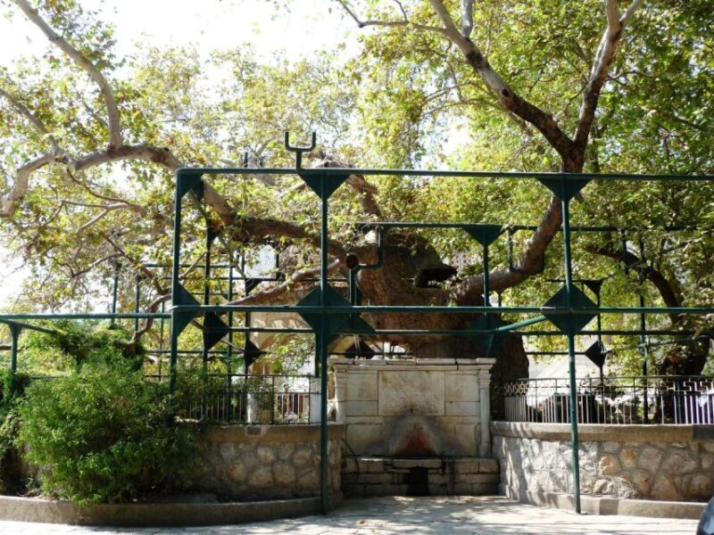 Kos: Island Highlights Bus Tour with Greek Honey Tasting - FAQ