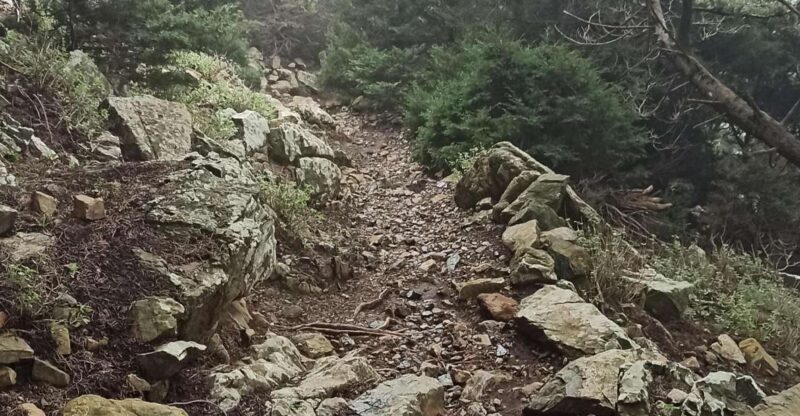 Kos: Moderate Hiking Tour on Dikaios Mountain - What’s Included and Practical Details