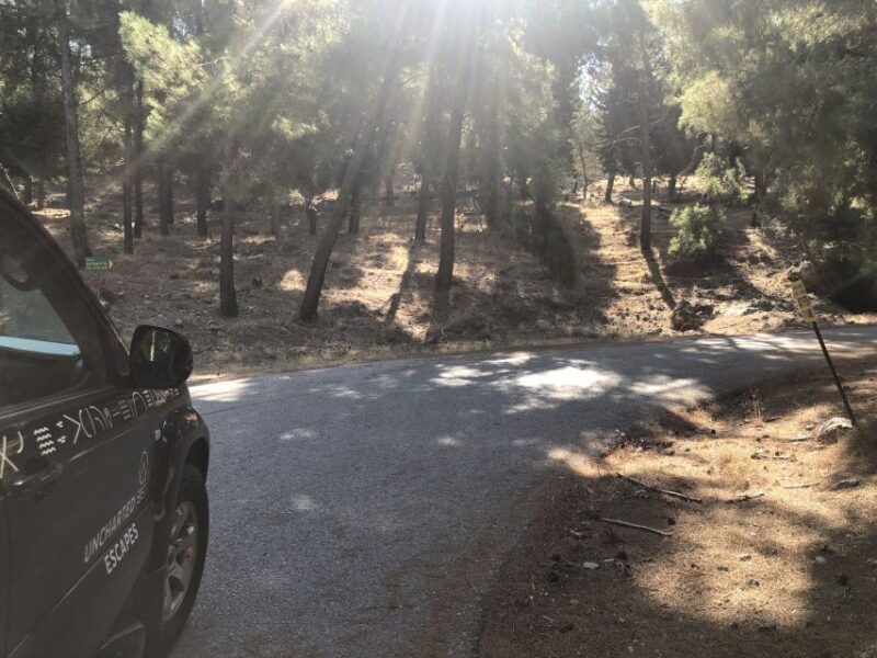 Kos: Sunset Safari Tour with Dinner - Why This Tour Stands Out