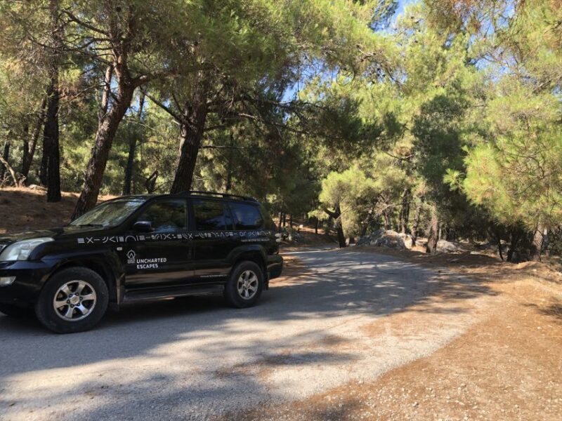 Kos: Sunset Safari Tour with Dinner - Overall Value and Suitability