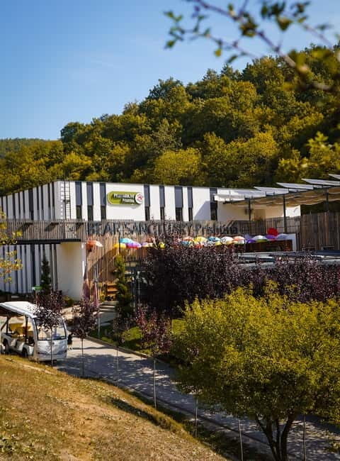 Kosovo: Bear Sanctuary Prishtina, (guided tour & shuttle) - Introduction