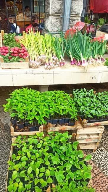 Kotor: 3H Food Tour - Practical Details and What Makes This Tour Stand Out