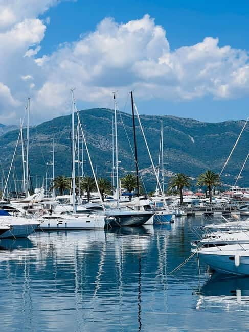 Kotor: Bay of Kotor and Tivat Electric Car Tour - The Drive Through Stoliv and Markov Rt