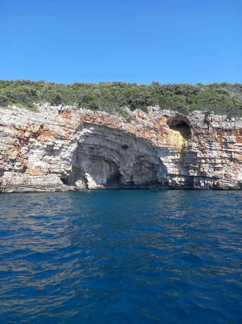 Kotor: Blue Cave, and Full Bay Speedboat Tour - Key Points