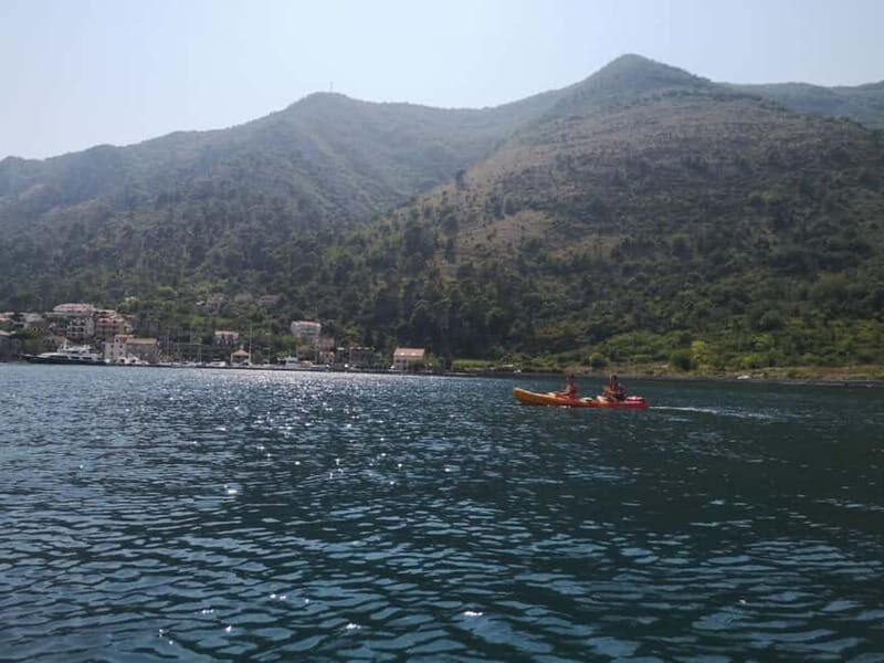 Kotor: Guided Kotor Bay Kayaking Tour - Key Points