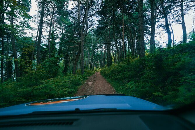 Kotor Jeep-Expedition : Fortress Trails & Local Food Picnic - The Scenic Vrmac Peninsula and Picnic Break