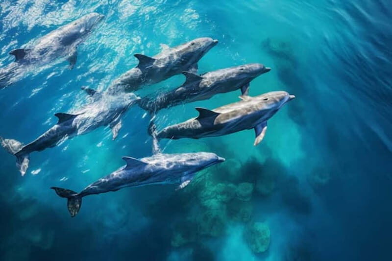 Kotor: Private Blue Cave and full bay of Kotor adventure - FAQs