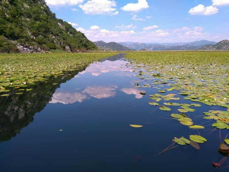 Kotor: Skadar Lake National Park with Wine Tasting - Who Is This Tour Best For?