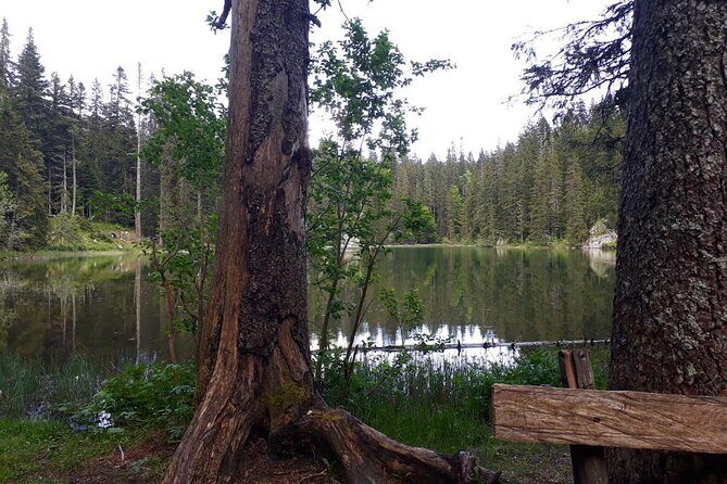 Kotor to Durmitor - Black Lake & Djurdjevica Tara Bridge tour - FAQs