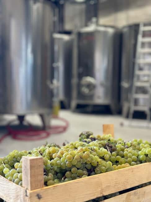 Kotor & Wine: Tasting the Charms Beneath Mount Lovcen - Kotor & Wine: Tasting the Charms Beneath Mount Lovcen – A Detailed Review