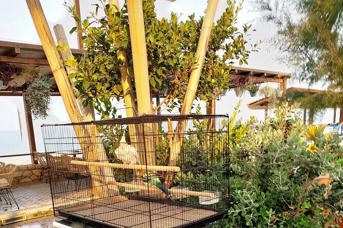 kourouta sandy beach all included from Katakolo port - Pricing and Value