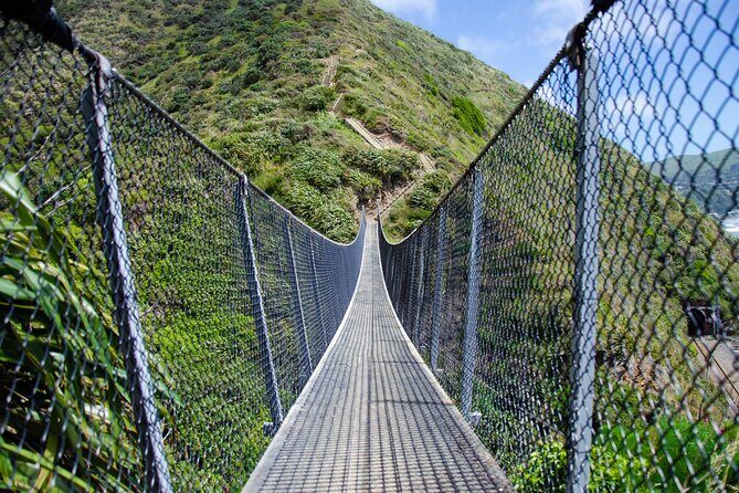 Kpiti Coast: Escarpment Track Guided Hiking Tour, Coffee + Lunch - Why This Tour Offers Great Value