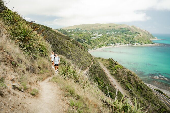Kpiti Coast: Escarpment Track Guided Hiking Tour, Coffee + Lunch - The Sum Up: Who Will Enjoy This Experience?
