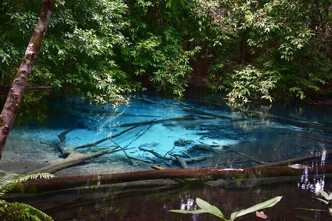 Krabi Day Tour (Private Group Tour) - Evaluating the Tour: Value, Comfort, and Authenticity