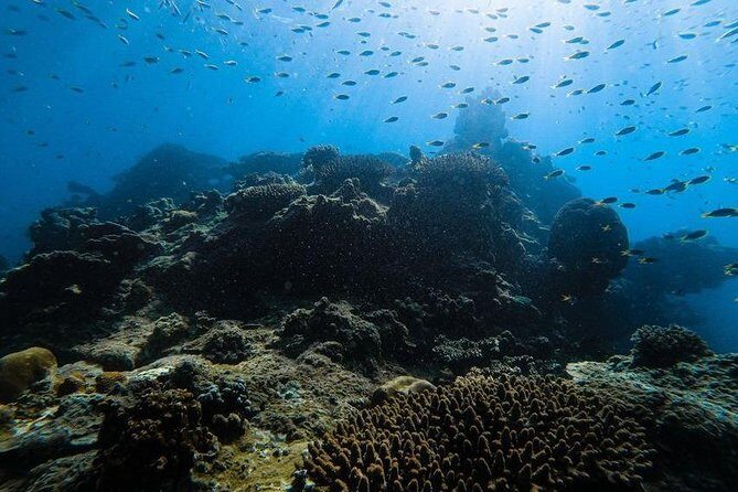 Krabi Early Bird Phi Phi Island & 4 Islands Snorkelling Tour - FAQ