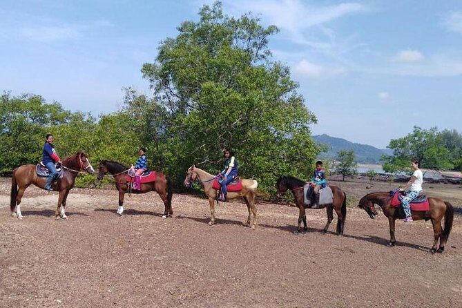 Krabi Horse Riding at The Beach - Considerations and Possible Drawbacks