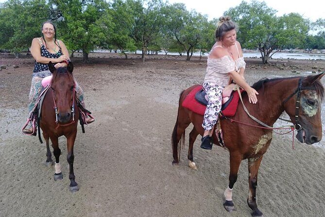 Krabi Horse Riding at The Beach - The Experience: What to Expect Day-of