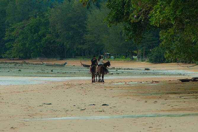 Krabi Horse Riding at The Beach - Why This Tour Is a Great Choice