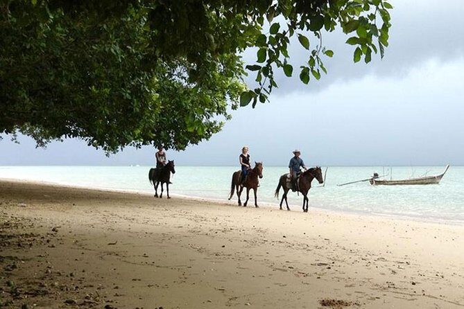 Krabi Horse Riding at The Beach - Who Should Consider This Tour?