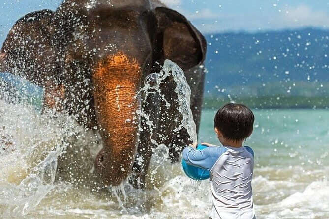 Krabi Immersive Elephant Sanctuary Experience - Key Points