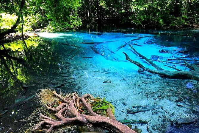 Krabi Jungle Tour with ATV Riding - Authentic Feedback and What to Expect