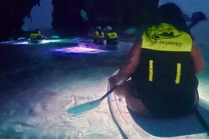 Krabi Stand-Up Paddleboard Illuminated Night Tour - The Experience: What You Can Expect