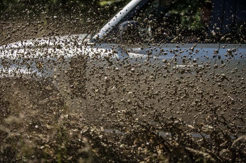 Krakow: 4wd Adventure with Wine Tasting - Key Points