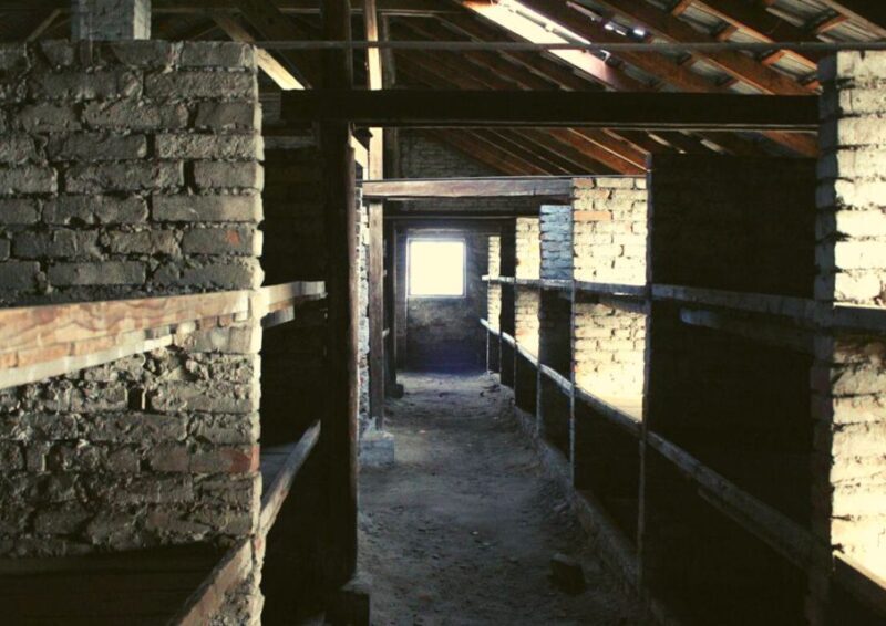 Krakow and Auschwitz Small-Group Tour from Warsaw with Lunch - Insights from Reviews